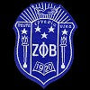 Zeta 2" Woven Shield W/Heat Seal Backing