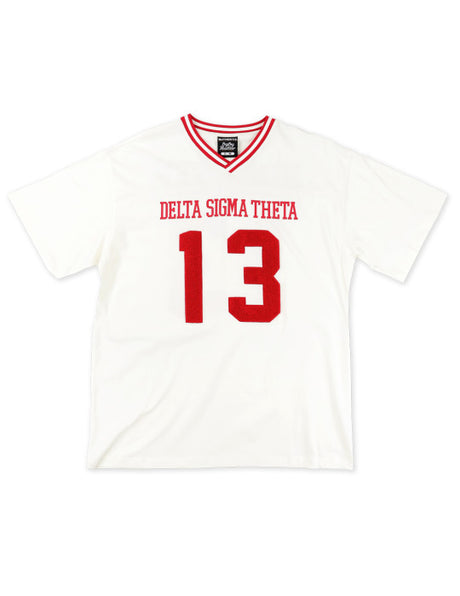 Delta Chenille Jersey