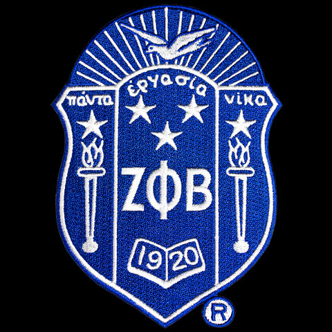 Zeta Shield Patch 10.5 inches