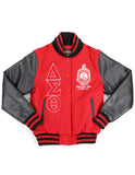 Delta Sigma Theta DST wool jacket letterman leather sleeves red black button up jacket fully decorated 