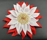 Delta Sigma Theta Greek Sorority Lapel Pin