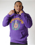 Omega Chenille Pullover Hoodie